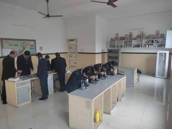 Bio